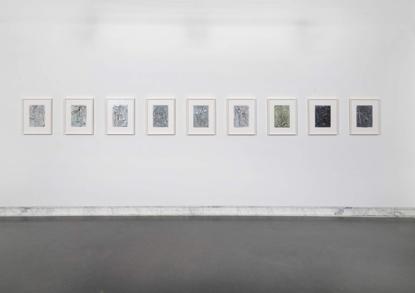 the gray feather a thrush lost