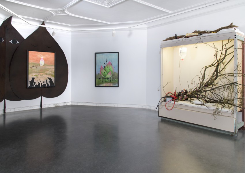 The Wild, the Furless and the Spirit of the B.u.d